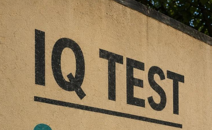 IQ TEST